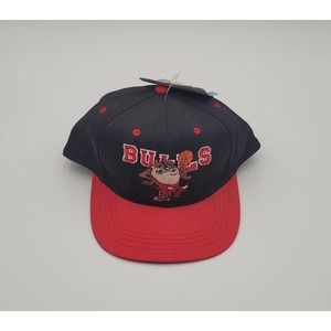 Vintage Chicago Bulls Looney Tunes Youth Snapback Cap W Tags Taz FreshCaps NBA